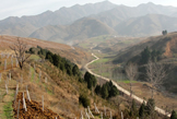 Pinot Noir vineyards at Jade Valley at the foot of the Qing Ling Mountains