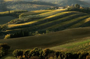 The landscape in Chianti Classico is a poetic as its finest wines